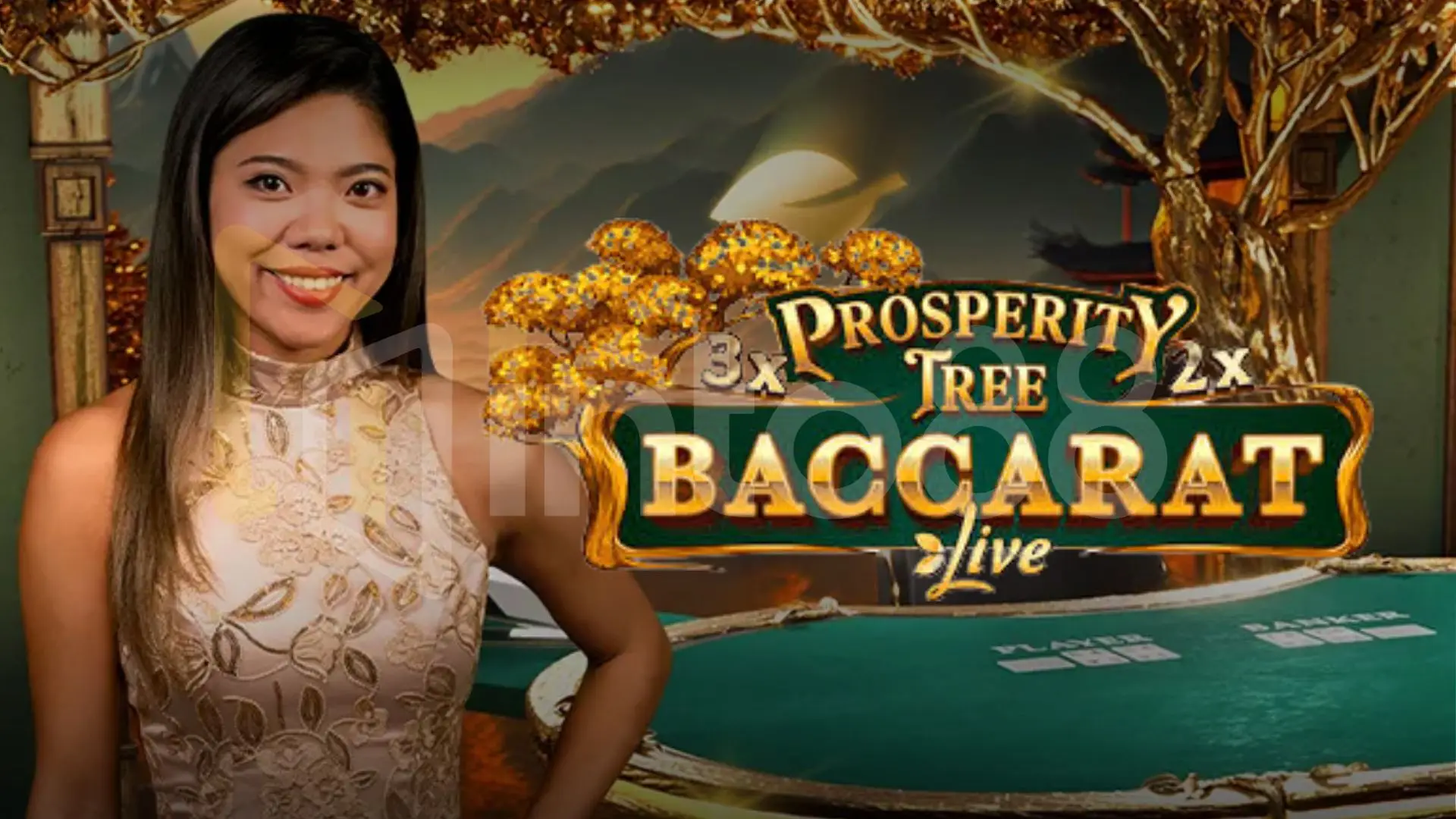 번영의 나무 바카라