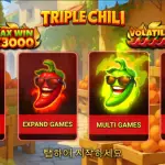 인투88 아미고 게이밍의 최신작: 트리플 칠리 소개