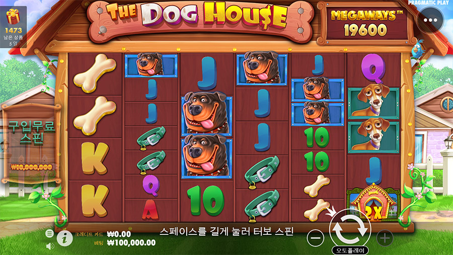 도그 메가웨이 2