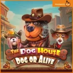 도그-하우스-도그-or-어라이브-슬롯-게임-로고-270x270