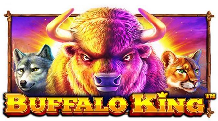 인투88 최대 93,750배 잭팟! Buffalo King 전략과 팁